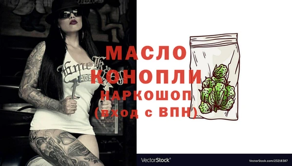 хмурый Аркадак
