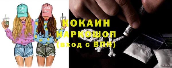 хмурый Аркадак