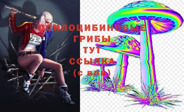 соль курить ск Арсеньев