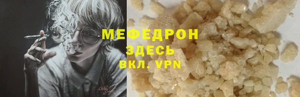 хмурый Аркадак