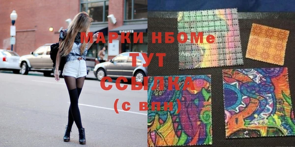 хмурый Аркадак