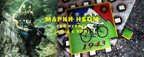 хмурый Аркадак