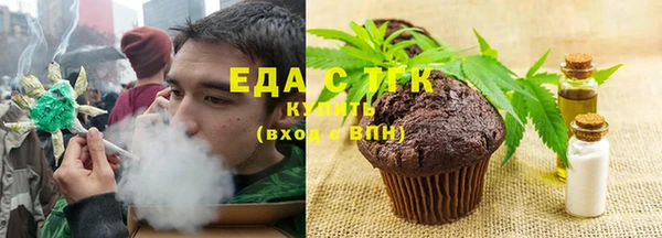 хмурый Аркадак
